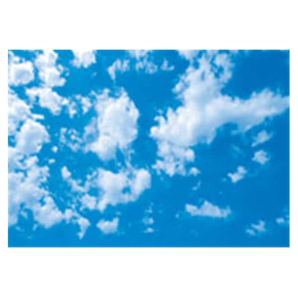 CeilingScenes Acoustic Tile Scattered Clouds 1-Tile Square 24 in x 24 in Ea