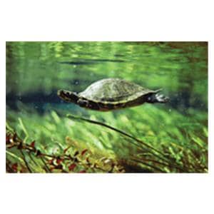 CeilingScenes Acoustic Tile Turtle 2-Tiles Horizontal 24 in x 24 in Ea