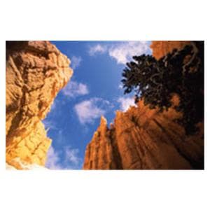 CeilingScenes Acoustic Tile Stone Canyon 1-Tile Vertical 48 in x 24 in Ea