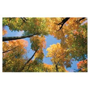 CeilingScenes Light Lens Maple Tree 1-Tile Square 24 in x 24 in Ea