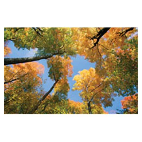 CeilingScenes Light Lens Maple Tree 1-Tile Square 24 in x 24 in Ea