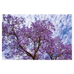 CeilingScenes Acoustic Tile Jacaranda 2-Tiles Vertical 24 in x 48 in Ea