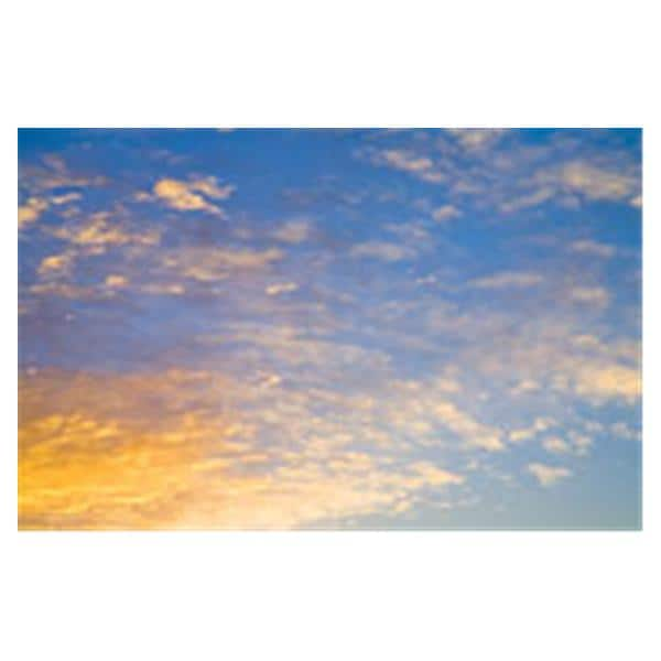 CeilingScenes Light Lens Rising Sun 2-Tiles Horizontal 24 in x 24 in Ea