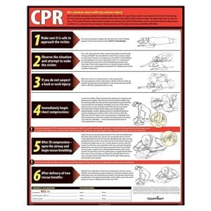 Poster Lifesaving CPR English Ea