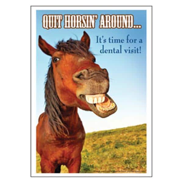 Imprinted Recall Cards Quit Horsing Around 4 in x 6 in 250/Pk