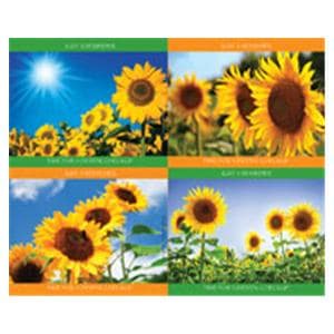 Laser 4-Up Recall Cards Sunflower 8.5 in x 11 in 200/Pk