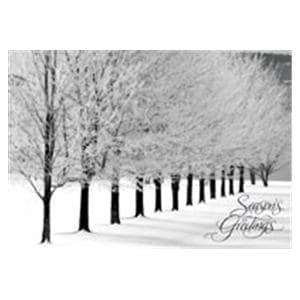 Imprinted Holiday Postcards Snowy Arbor Avenue 100/Pk