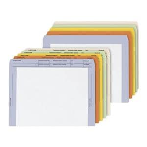 File Envelope Pre-Printed #28White/Putty 250/Bx