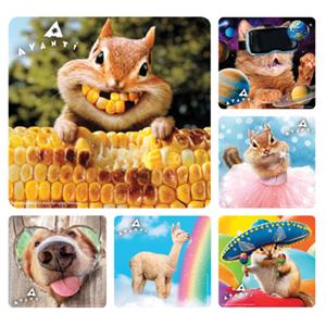 Stickers Avanti Animal Assorted 100/Rl