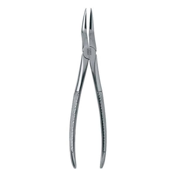 Extracting Forceps Large Adult Ea