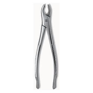 Extracting Forceps Size 150A Adult Ea