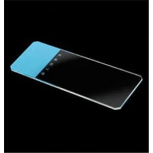 Frosted Microscope Slide 25x75mm Blue 20Bx/Ca