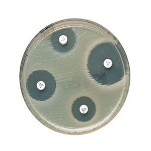 Oxoid Ampicillin Susceptibility Disk 5/Pk