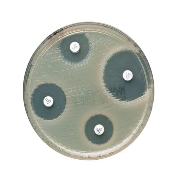 Oxoid Vancomycin Susceptibility Disk 5/Pk