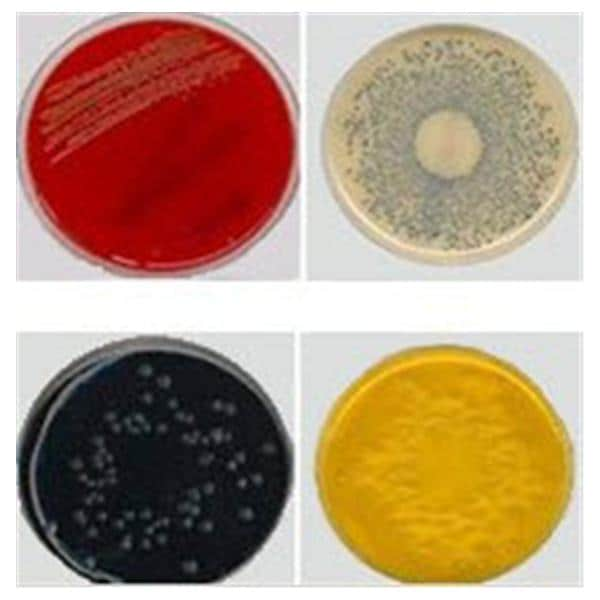 Anaerobic LKV Blood Agar CDC Culture Monoplate 10/Pk