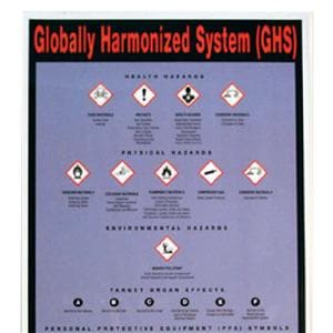 Hazardous Materials 9x25 Safety Wall Chart Ea