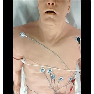 12-Lead Trainer Arrhythmia Simulator Ea