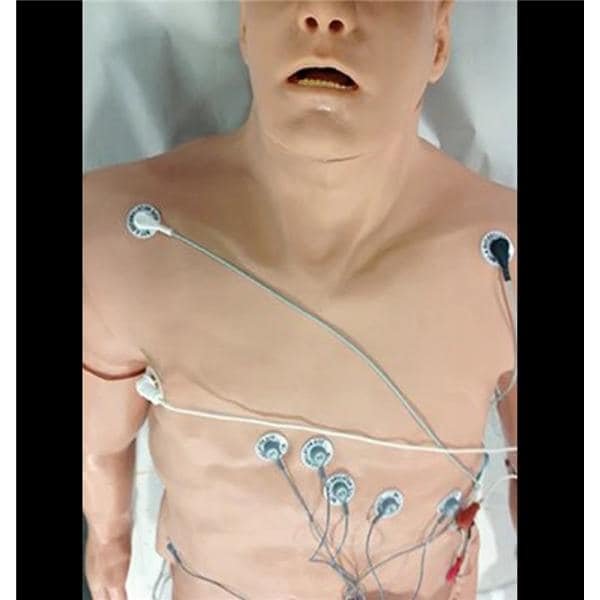 12-Lead Trainer Arrhythmia Simulator Ea