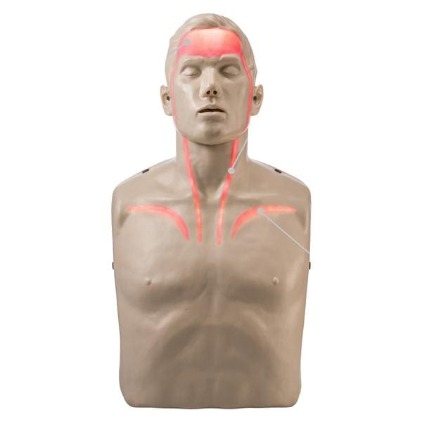 Brayden CPR Training Adult Manikin Ea