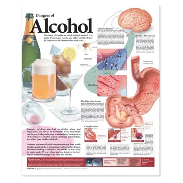 Dangers of Alcohol 20x26" Educational Chart Ea