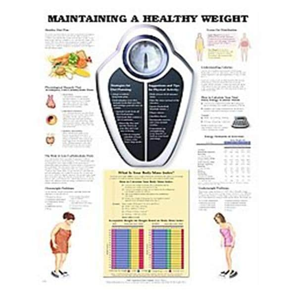 Maintaining a Healthy Weight 20x26" Educational Chart EA