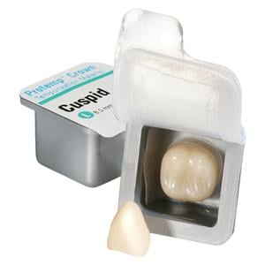 Protemp Composite Crowns Large Cuspid Refill 5/Pk