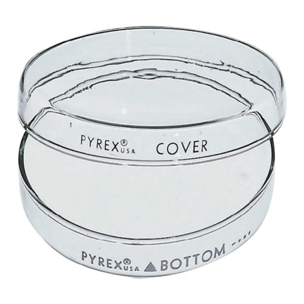 Pyrex Petri Dish 100x20mm 12/Pk