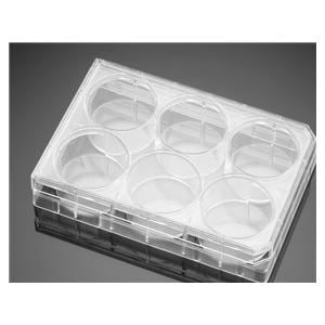 Falcon Cell Culture Plate Polystyrene 15.5mL 6-Well Flat Bottom 50/Ca