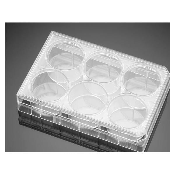 Falcon Cell Culture Plate Polystyrene 15.5mL 6-Well Flat Bottom 50/Ca