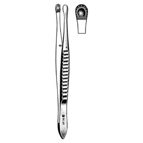 Russian Tissue Forcep Straight ea