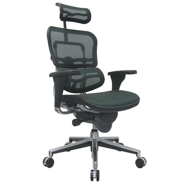 Ergohuman Mesh Executive Chair High-Back Gray/Chrome 27.5x26x46" Ea