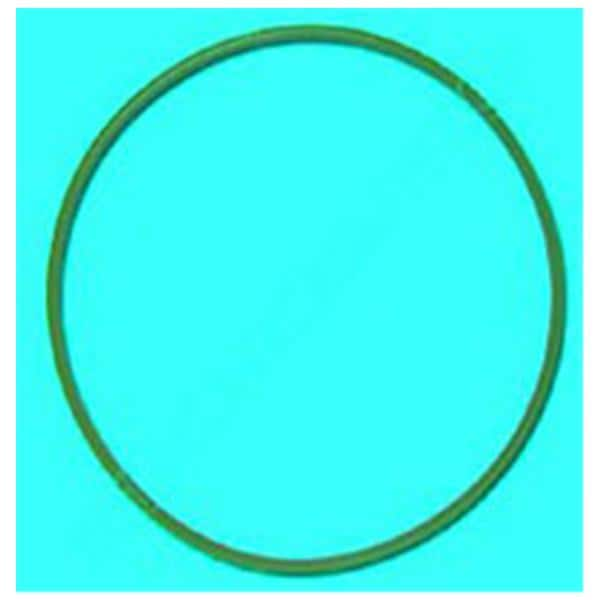 Door Gasket For Chemiclave 6000 6000 Ea